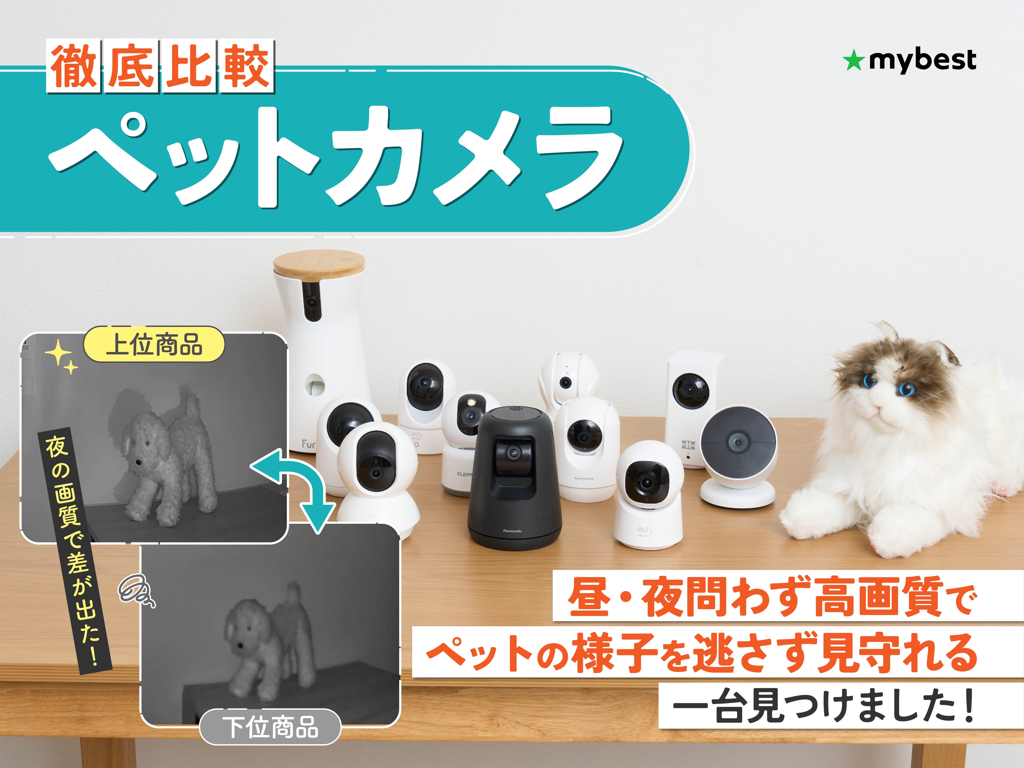 徹底比較】ペットカメラのおすすめ人気ランキング【犬・猫の見守りに 