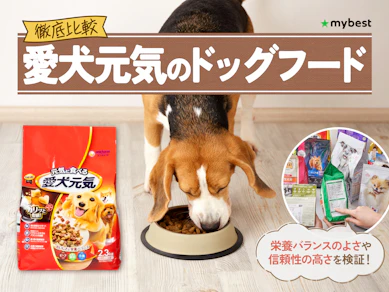 【徹底比較】愛犬元気のドッグフードのおすすめ人気ランキング【2026年3月】