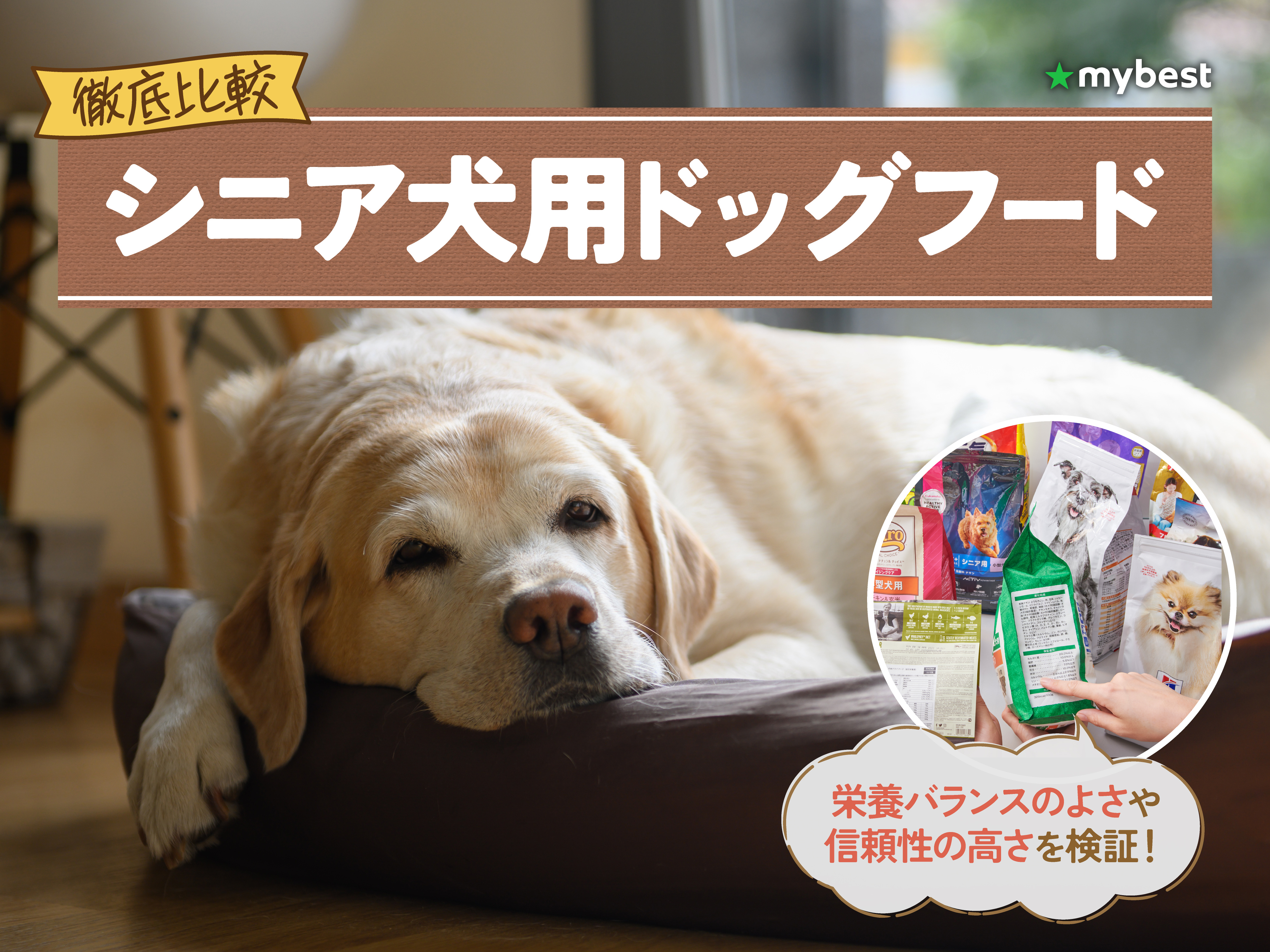 【最終値下げ】低アレルゲンドックフード 成犬・シニア犬 徹底比較】シニア犬用ドッグフードのおすすめ人気ランキング【2026年3