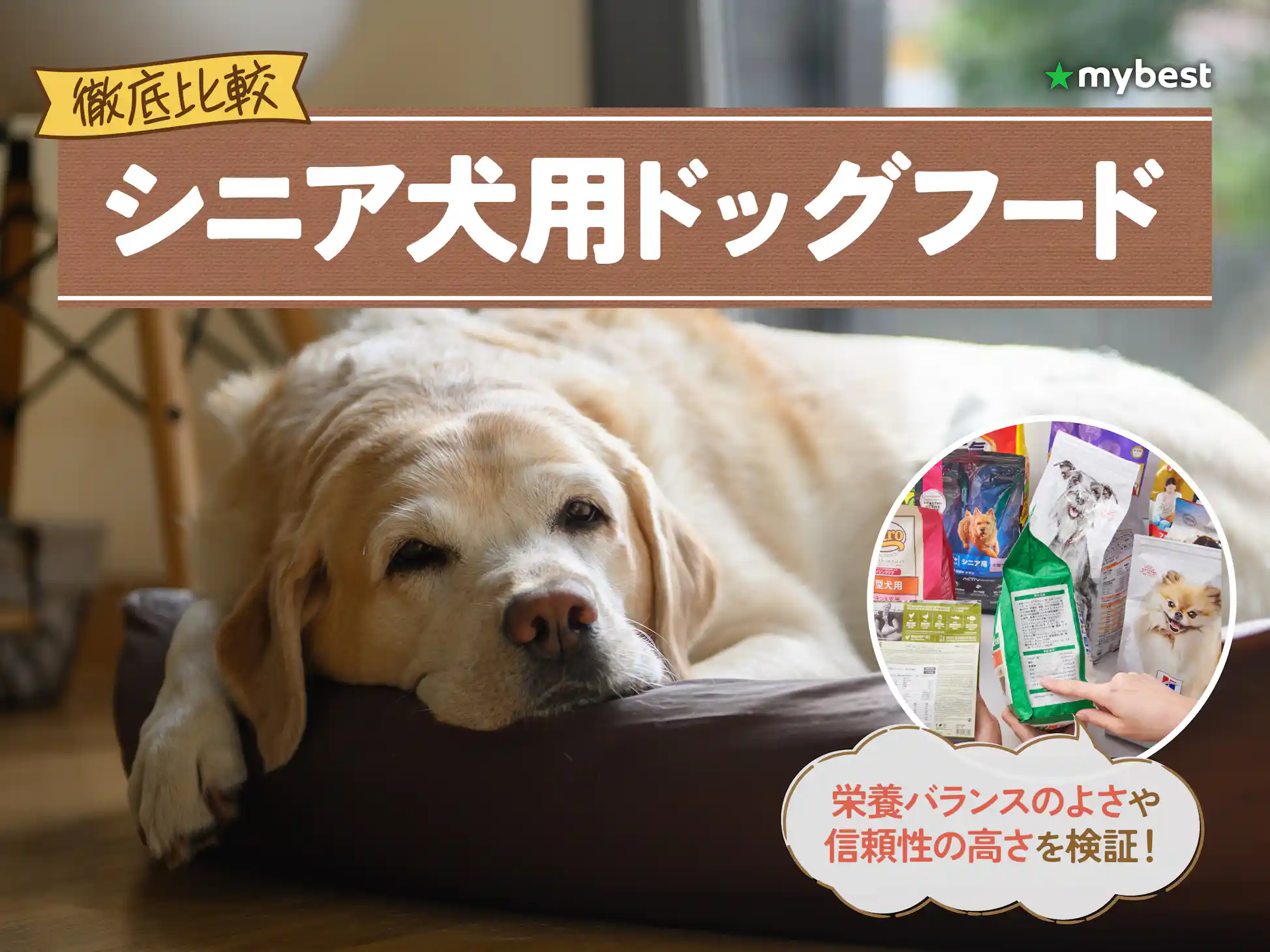 徹底比較】シニア犬用ドッグフードのおすすめ人気ランキング【2026年3 徹底比較】シニア犬用ドッグフードのおすすめ人気ランキング【2026年3