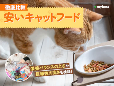 【徹底比較】安いキャットフードのおすすめ人気ランキング【2026年3月】