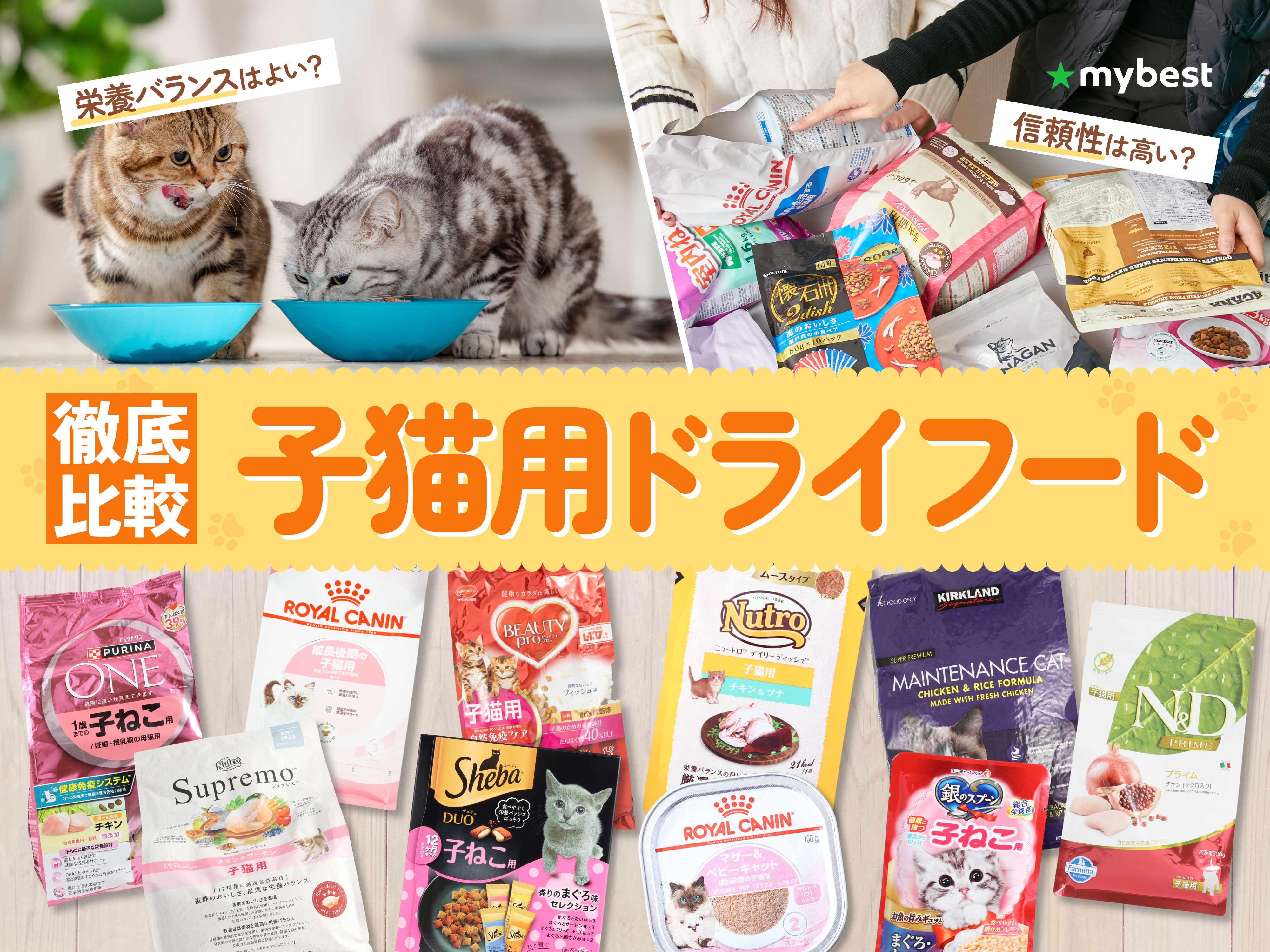 徹底比較】子猫用ドライフードのおすすめ人気ランキング【2026年