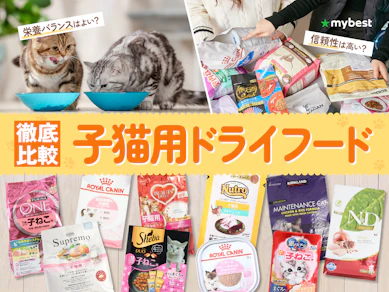 【徹底比較】子猫用ドライフードのおすすめ人気ランキング【2026年3月】