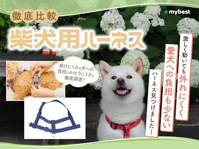 【徹底比較】柴犬用ハーネスのおすすめ人気ランキング【2026年3月】