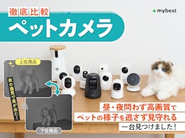 【徹底比較】ペットカメラのおすすめ人気ランキング【犬・猫の見守りに!2026年5月】