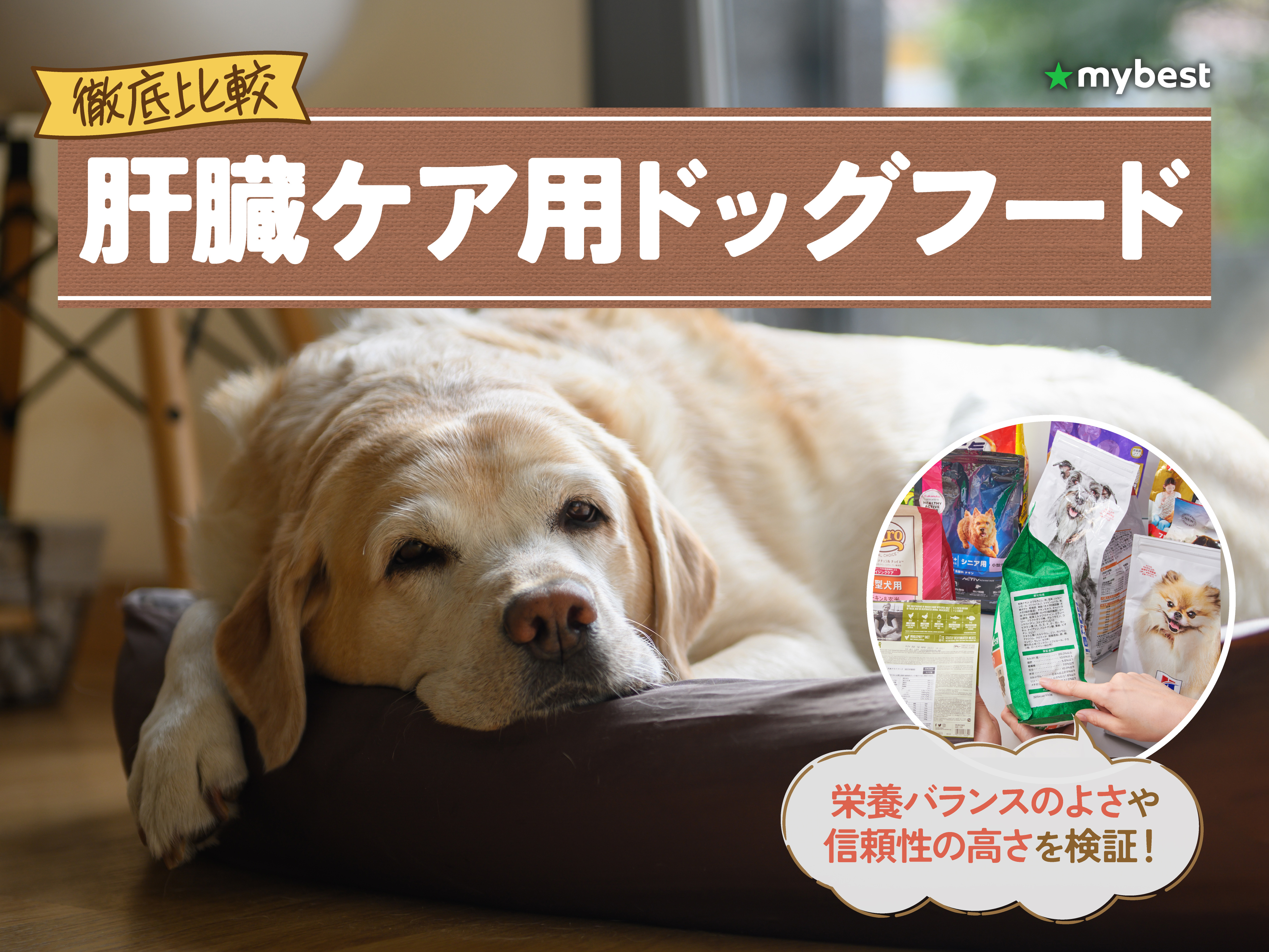 ドッグフード(肝臓サポート)価格交渉OK ドッグフード,ジャパンペットコミュニケーションズ,VetSolution(ベッツ