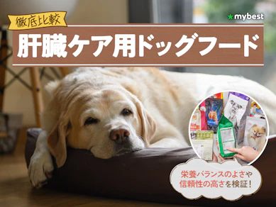 【徹底比較】肝臓ケア用ドッグフードのおすすめ人気ランキング【2026年3月】