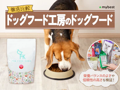 【徹底比較】ドッグフード工房のドッグフードのおすすめ人気ランキング【2026年3月】