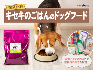 【徹底比較】キセキのごはんのドッグフードのおすすめ人気ランキング【2026年3月】