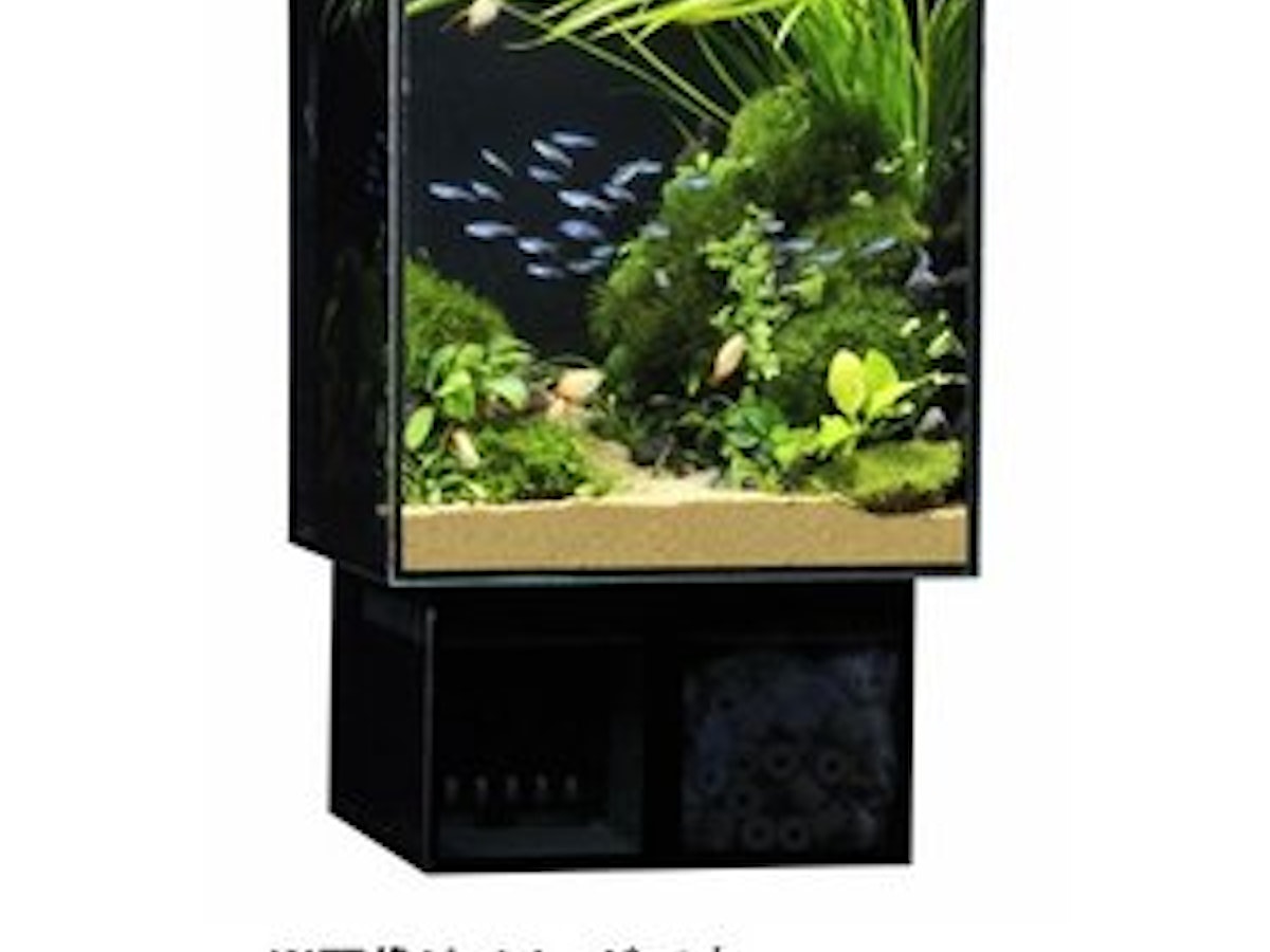 1200mm アクリル水槽 一体型 カウンターに置けます 1200mm アクリル水槽 一体型 カウンターに置けます
