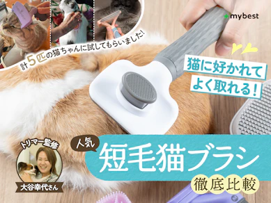 【徹底比較】短毛猫ブラシのおすすめ人気ランキング