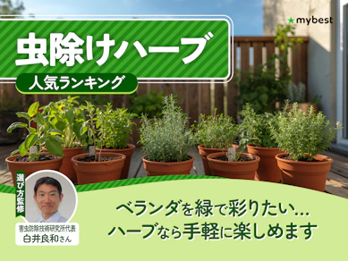 虫除けハーブのおすすめ人気ランキング【蚊よけにも!2026年8月】