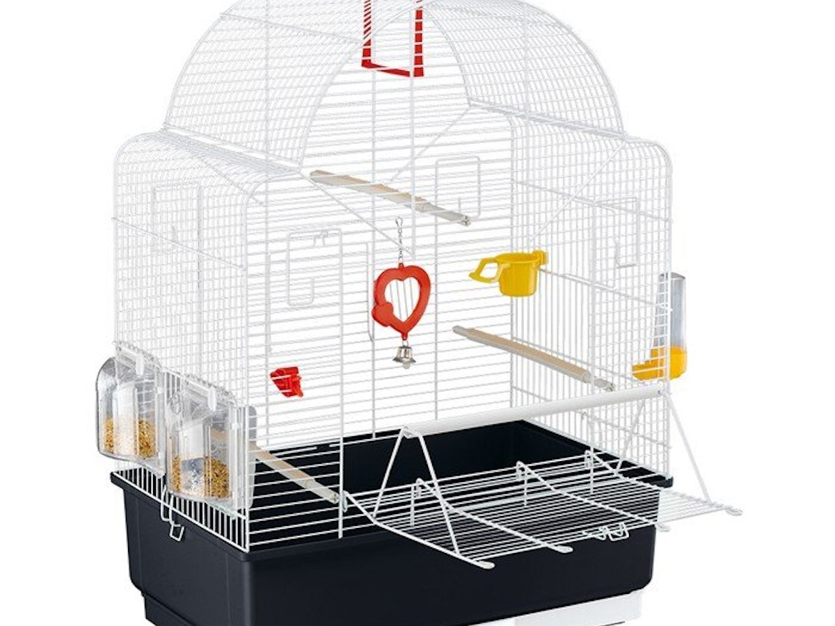 小鳥 バードケージ 68cm 360度見渡せる モモンガ 小動物 全面 小鳥 バードケージ 68cm 360度見渡せる モモンガ 小動物 全面