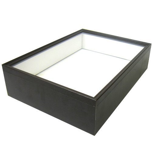 昆虫標本箱のおすすめ人気ランキング【2025年11月】 | マイベスト