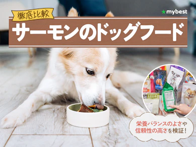 【徹底比較】サーモンのドッグフードのおすすめ人気ランキング【2026年3月】