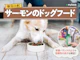 サーモンのドッグフード