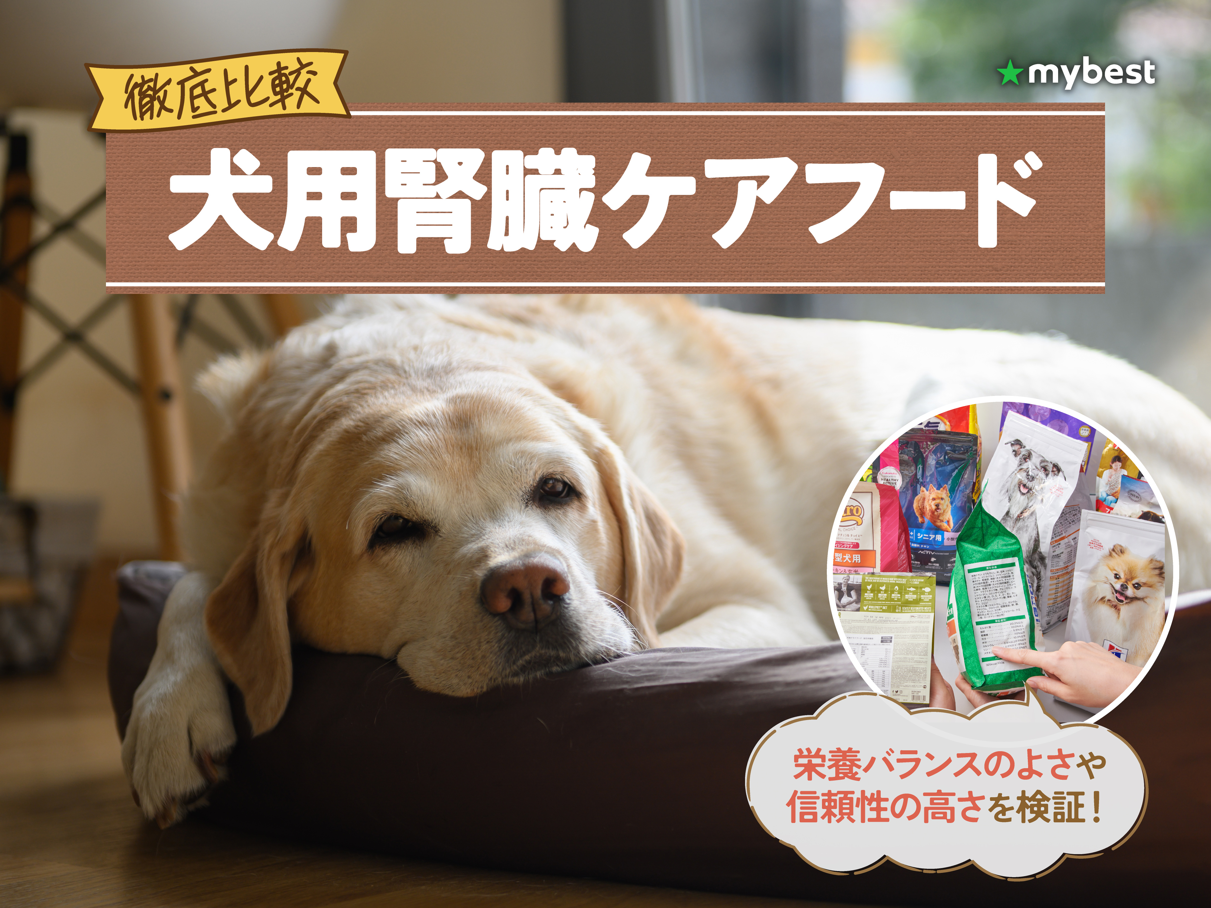 徹底比較】犬用腎臓ケアフードのおすすめ人気ランキング【2026年