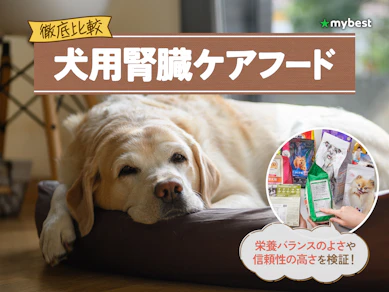 【徹底比較】犬用腎臓ケアフードのおすすめ人気ランキング【2026年3月】