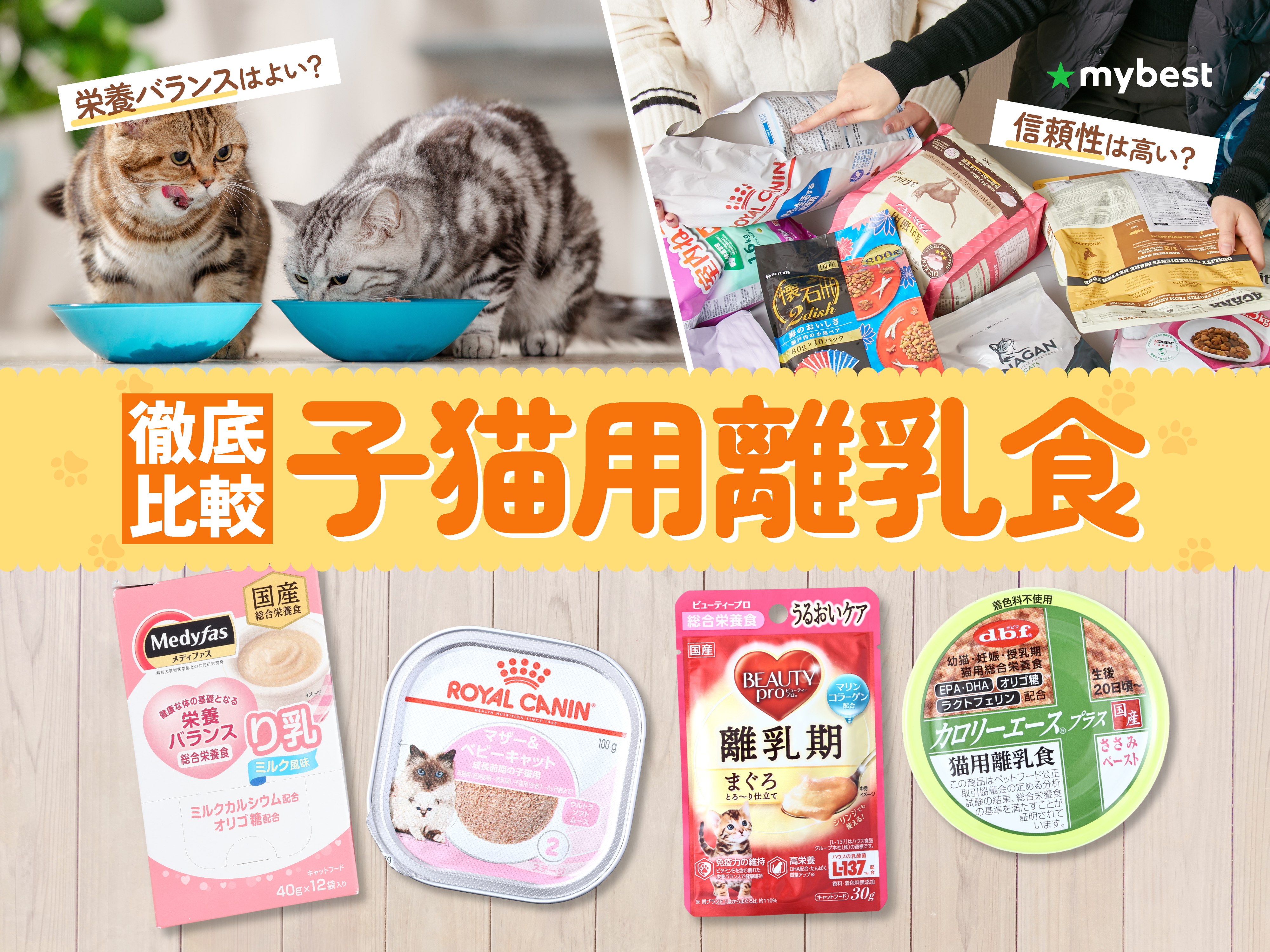 徹底比較】子猫用離乳食のおすすめ人気ランキング【2026年】 | マイベスト