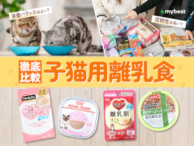 【徹底比較】子猫用離乳食のおすすめ人気ランキング【2026年3月】
