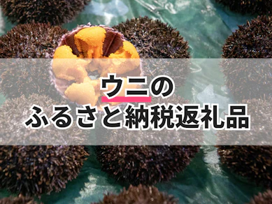 ウニのふるさと納税返礼品のおすすめ人気ランキング【2025年】