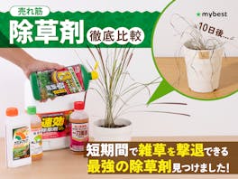 【徹底比較】除草剤のおすすめ人気ランキング【除草効果最強はどれ?2026年4月】