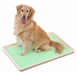 DogLife 犬トイレ トレー 大型犬 1020 x 710 x 50 mm Amazon | DogLife 犬