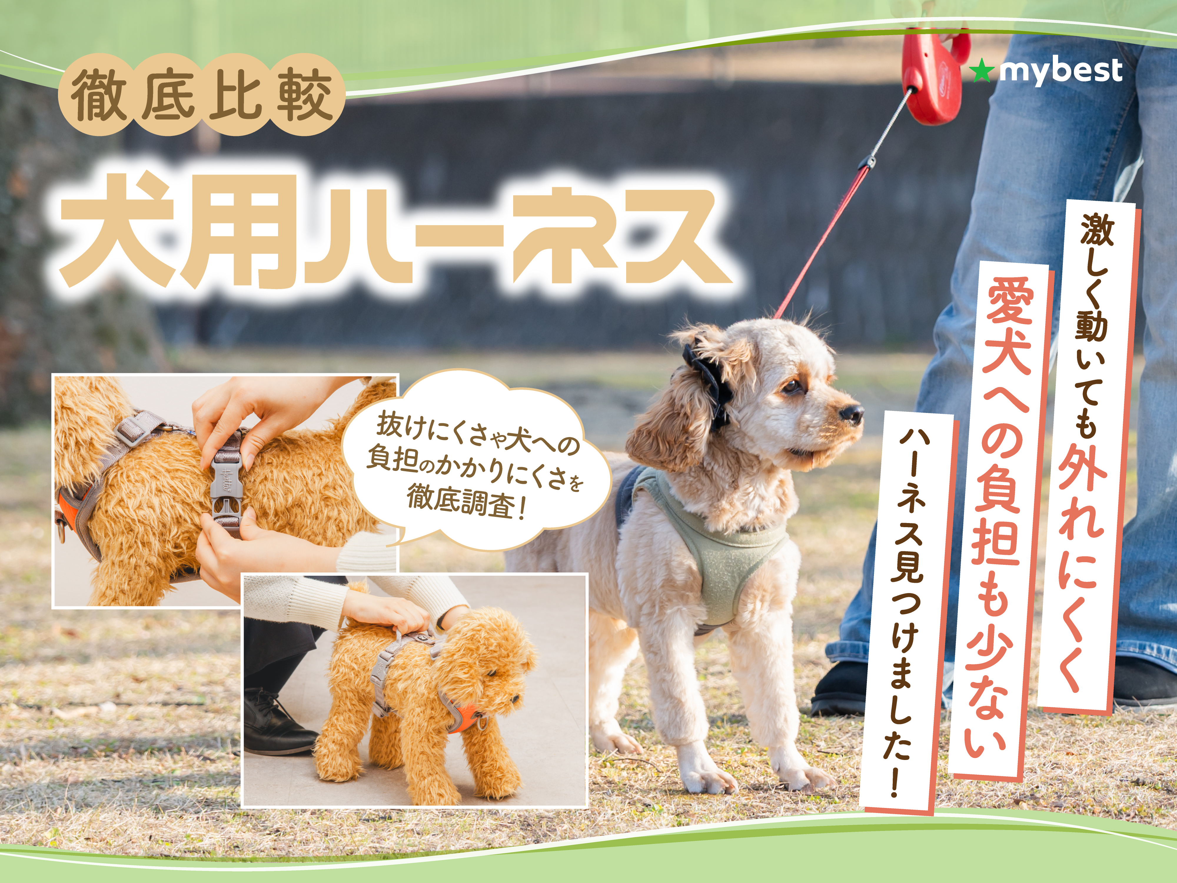 徹底比較】犬用ハーネスのおすすめ人気ランキング【負担が少ないのは