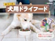 犬用ドライフード