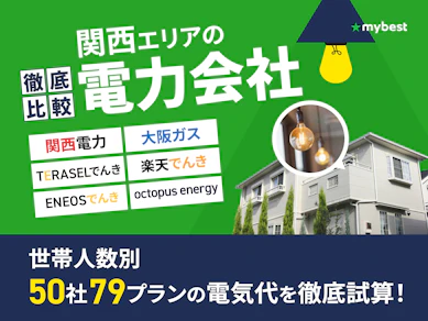 関西の電力会社おすすめ比較ランキング【世帯人数ごとに50社79プランで最安の電気代を紹介!関電より安いのは?2026年8月】