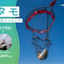 タモのおすすめ人気ランキング【専門家監修!2026年10月】