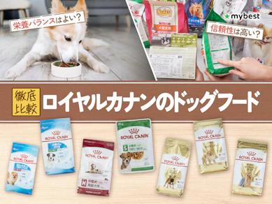 【徹底比較】ロイヤルカナンのドッグフードのおすすめ人気ランキング【2026年3月】