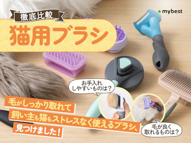 【徹底比較】猫用ブラシのおすすめ人気ランキング【長毛種・短毛種におすすめなのはどれ?2025年】