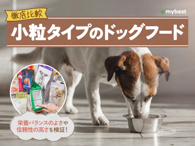 【徹底比較】小粒タイプのドッグフードのおすすめ人気ランキング【2026年3月】