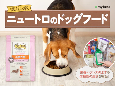 【徹底比較】ニュートロのドッグフードのおすすめ人気ランキング【2026年3月】