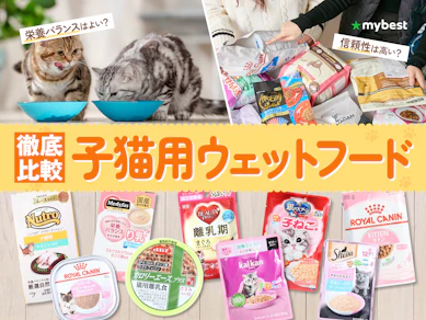 【徹底比較】子猫用ウェットフードのおすすめ人気ランキング【2026年3月】