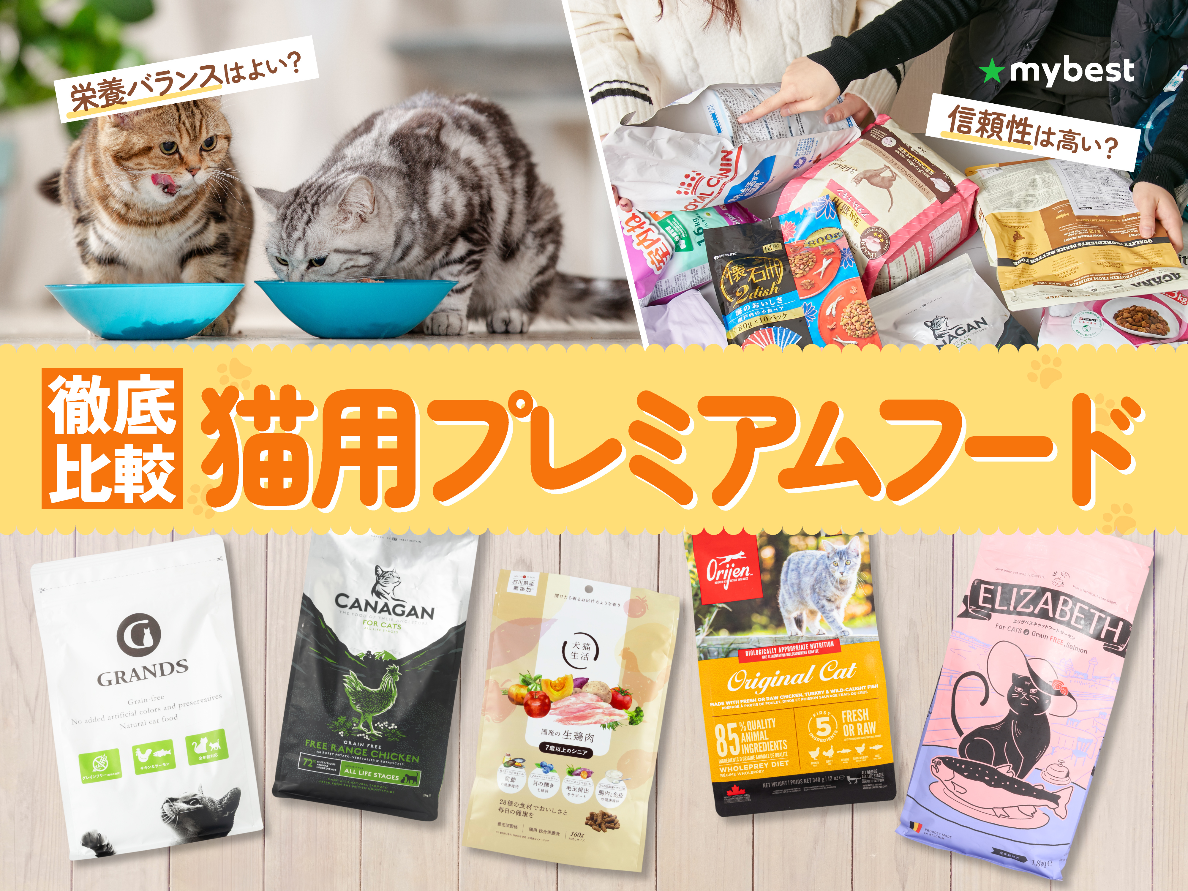 猫を飼うのに必要なもの｜猫グッズの必需品リストを紹介 | マイベスト