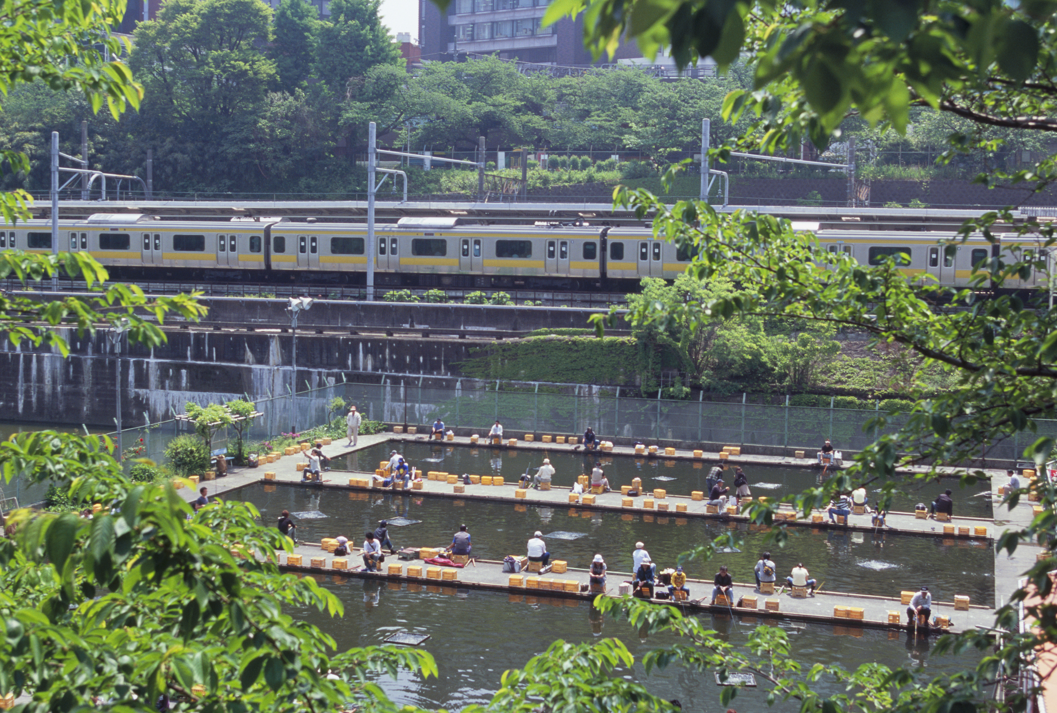 22年 東京都内の釣り堀のおすすめ人気ランキング18選 Mybest