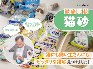 【徹底比較】猫砂のおすすめ人気ランキング【2025年7月】