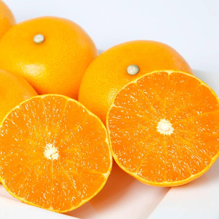 みかん せとかみかんのおすすめ人気ランキング【2025年】 | マイベスト