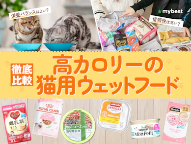 【徹底比較】高カロリーの猫用ウェットフードのおすすめ人気ランキング【2026年5月】