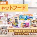 【全158種】キャットフードのおすすめ人気ランキング【ドライからウェット・子猫からシニアまで!2026年9月】