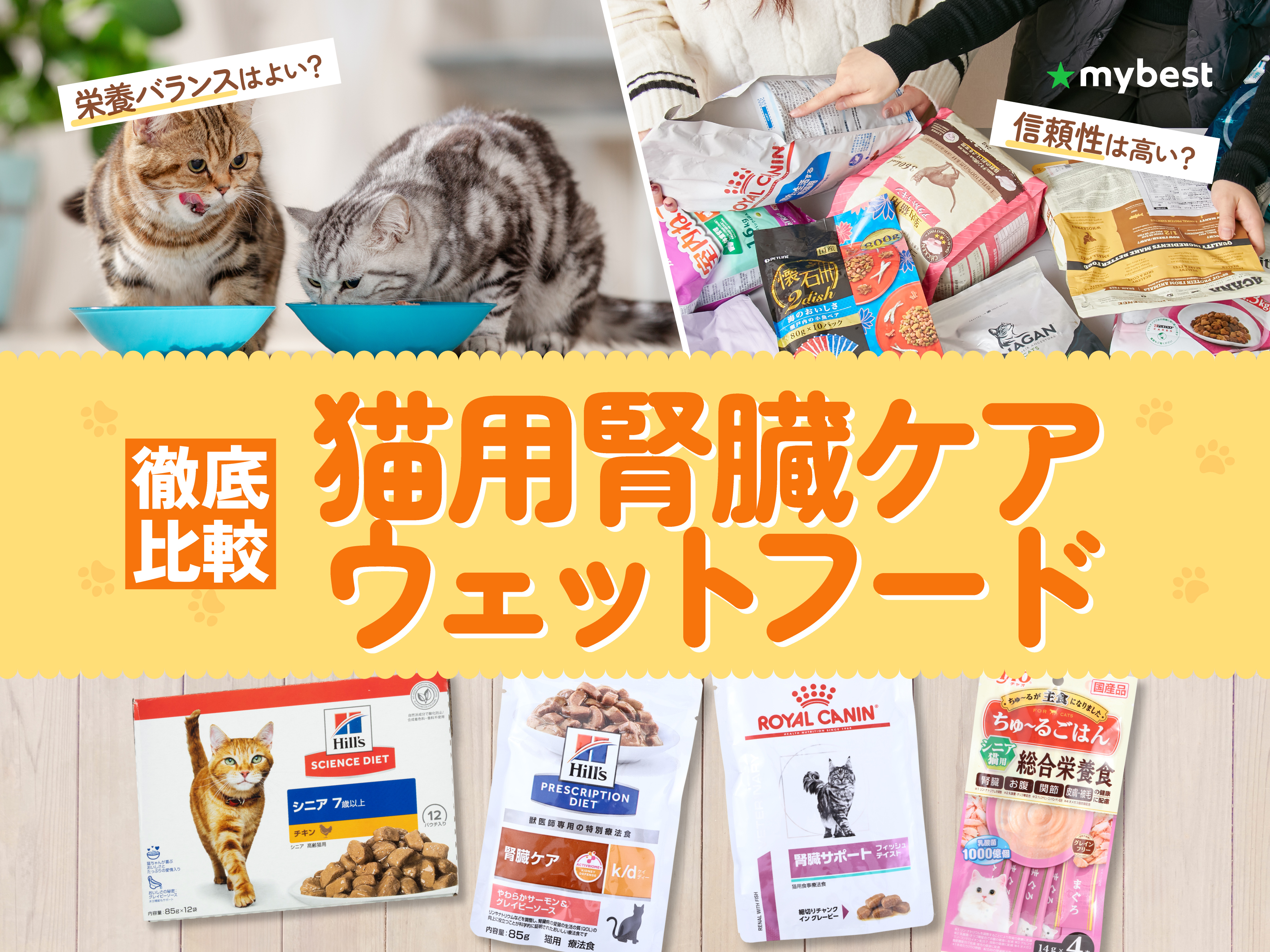 猫の腎臓ケアフード アイシア i CARE 腎臓ケアかつおペースト35g（4580101261594）｜猫