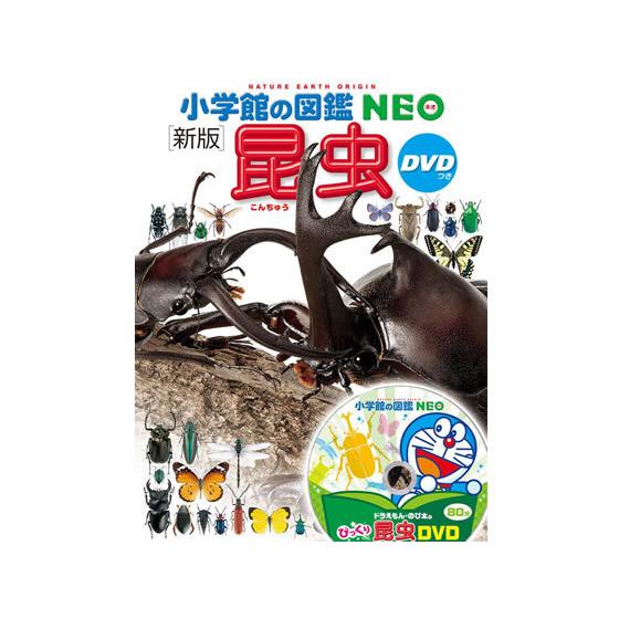【美品】小学館の図鑑 NEO 10冊セットと学研世界の昆虫　合計11冊セット DVD付 新版 昆虫 (小学館の図鑑 NEO) | 小池 啓一, 小野 展嗣, 町田