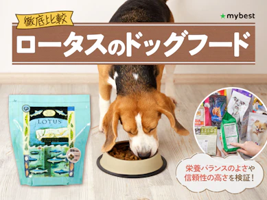 【徹底比較】ロータスのドッグフードのおすすめ人気ランキング【2026年3月】
