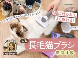 【徹底比較】長毛猫ブラシのおすすめ人気ランキング【2026年】