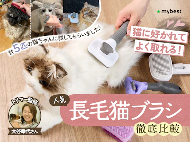 【徹底比較】長毛猫ブラシのおすすめ人気ランキング