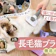 【徹底比較】長毛猫ブラシのおすすめ人気ランキング