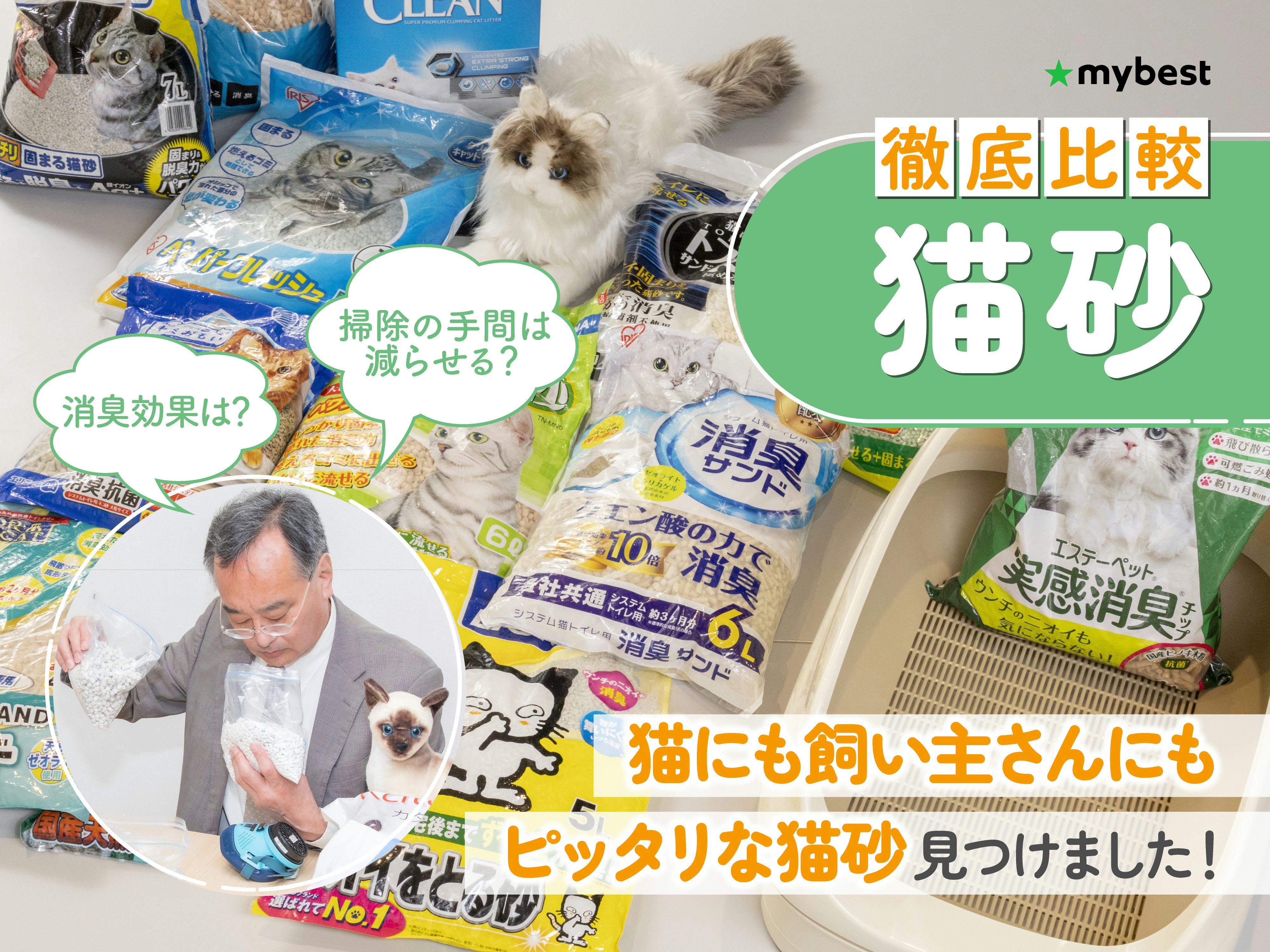 【徹底比較】猫砂のおすすめ人気ランキング
