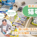 【徹底比較】猫砂のおすすめ人気ランキング【2026年3月】